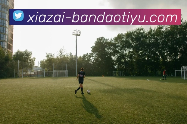 半岛体育平台生态图